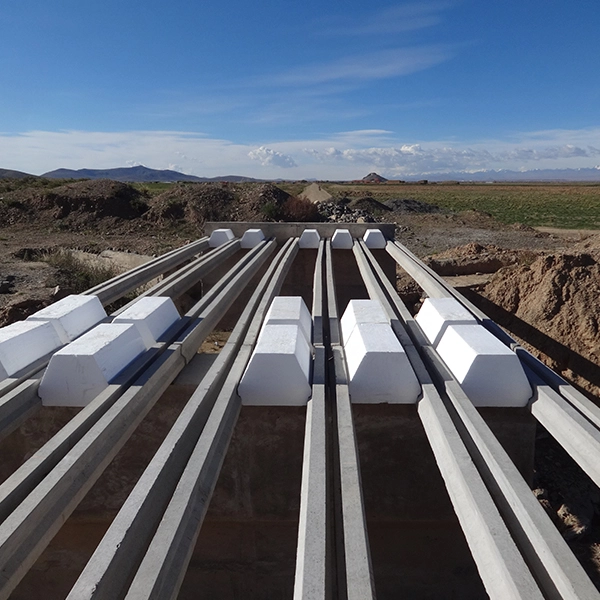 Seccion 8 - imagen 2