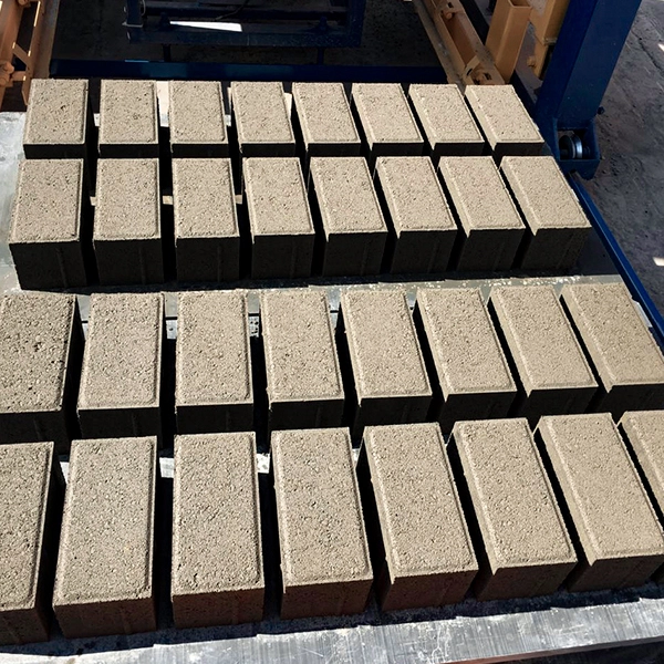 Seccion 6 - imagen 3