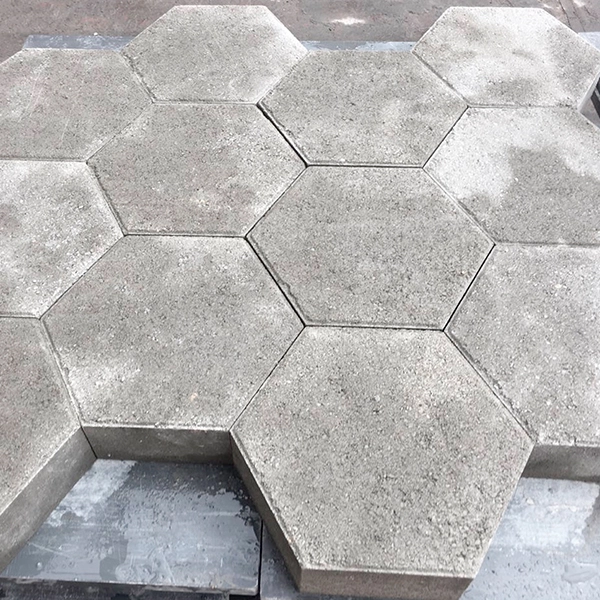 Seccion 6 - imagen 6